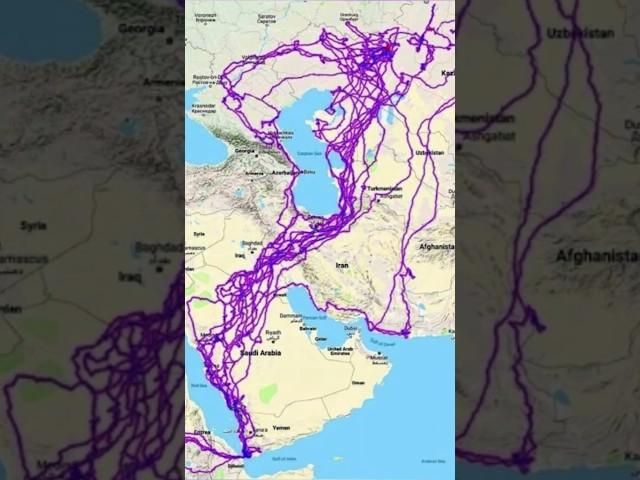 GPS Tracker Found From Dead Eagle 