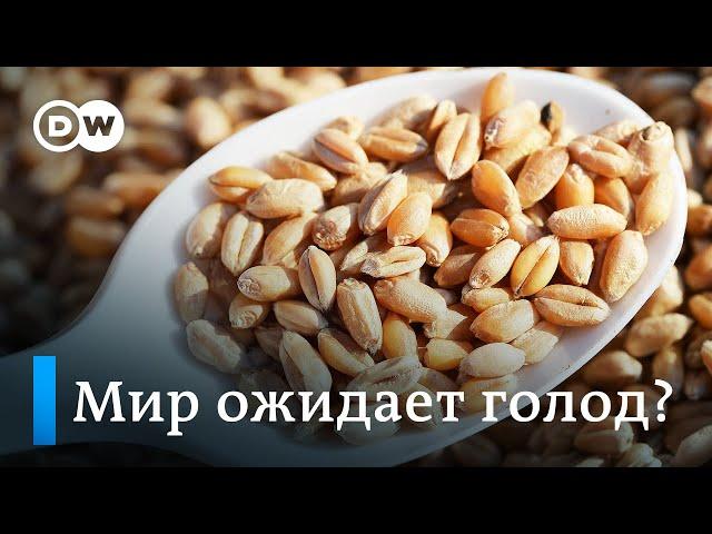 Зерновая сделка: Путин разорвал соглашение, что будет делать Украина и чем это обернется для мира?