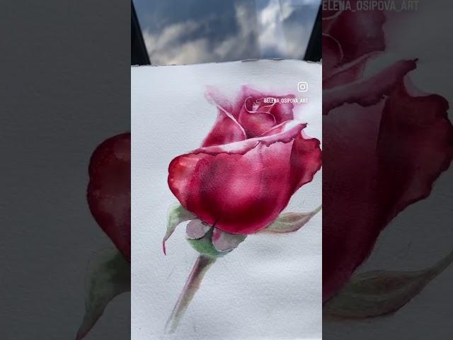 Творчество -загадка, которую художник задает сам себе #rose #art #flowers #painting #drawing