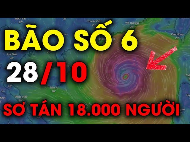  TIN BÃO KHẨN CẤP: Bão Trà Mi gây mưa xối xả, Quảng Nam sơ tán 18.000 người; Sức gió giật cấp 14