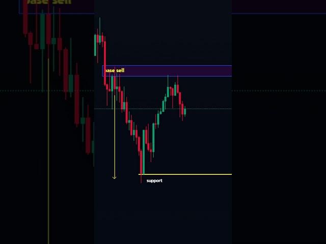 The Best Forex Trading Tips for Beginners