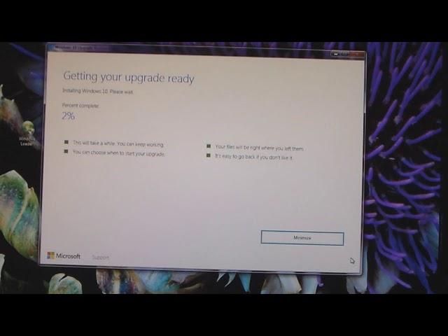 windows 10 update assistant