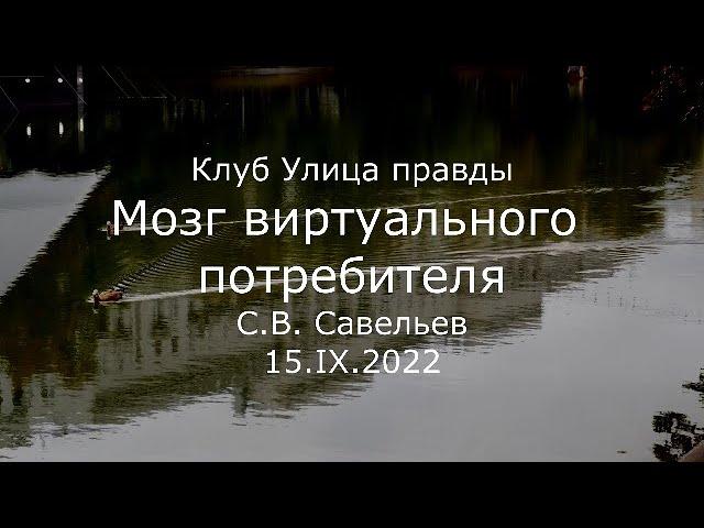 С.В. Савельев - Мозг виртуального потребителя