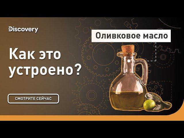 Оливковое масло | Как это устроено? | Discovery