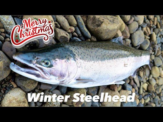 It’s a Tradition | Christmas Eve Winter Steelhead Fishing