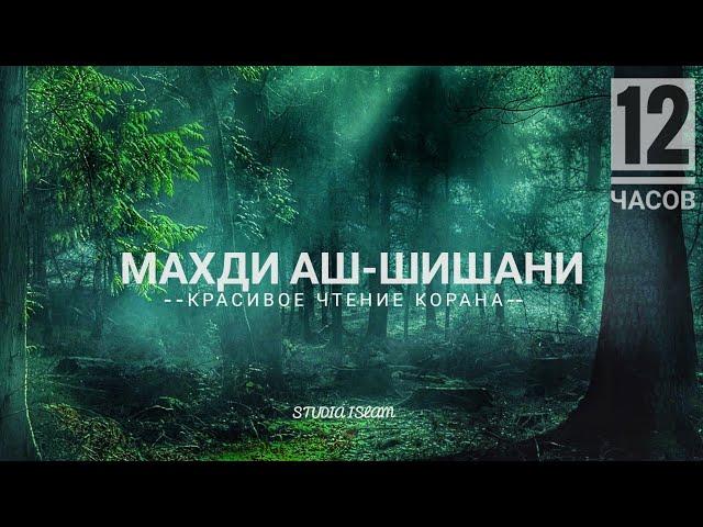 Махди Аш-Шишани - Чтение Священного Корана 12 Часов (Разные Суры)