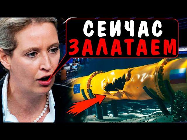 СМЕЛЫЙ ШАГ ВАЙДЕЛЬ! СЕВЕРНОМУ ПОТОКУ - БЫТЬ! ГЕРМАНИЯ ЛИКУЕТ