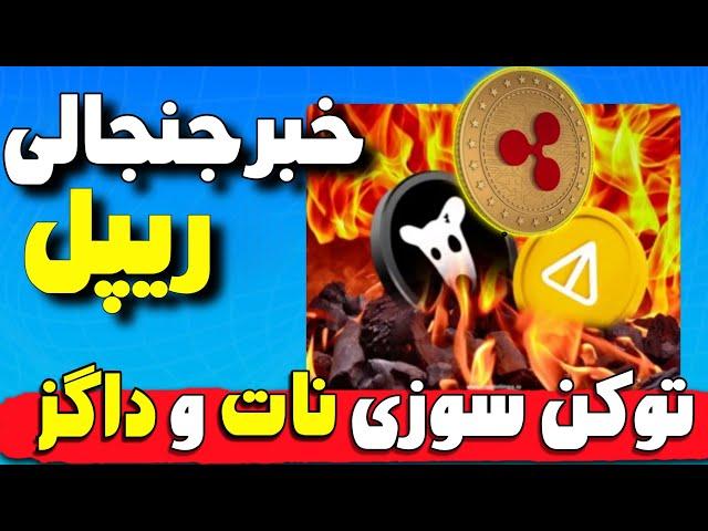 "نات کوین و داگز:تحلیل+ توکن‌سوزی و خبر جنجالی ریپل!"