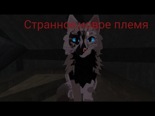 1 серия «Странное,новое племя»! Сериал коты воители роблокс Warrior cats Ultimate edition!