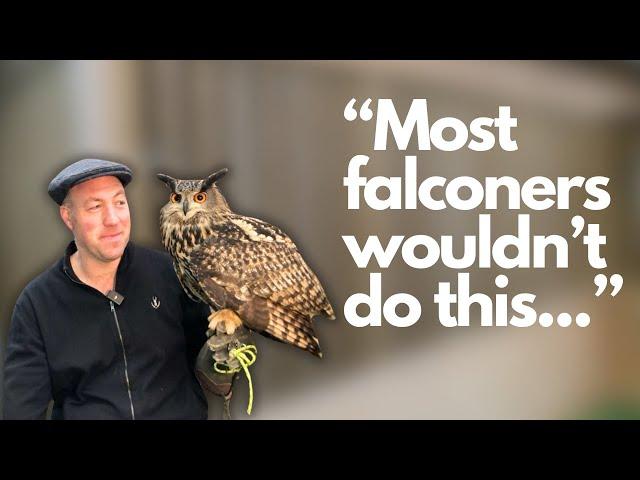 Ryan's Roundup Ep 6   Meet Hugo the Eagle owl and what the heck is Ryan talking about?