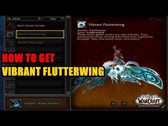 How to get Vibrant Flutterwing Mount WoW