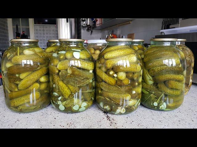 CANNED PICKLED CUCUMBERS