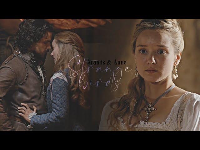 Aramis & Anne | Strange Birds