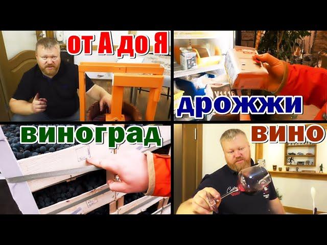 Домашнее вино от А до Я / из винограда изабелла + молдова / Рецепт вина