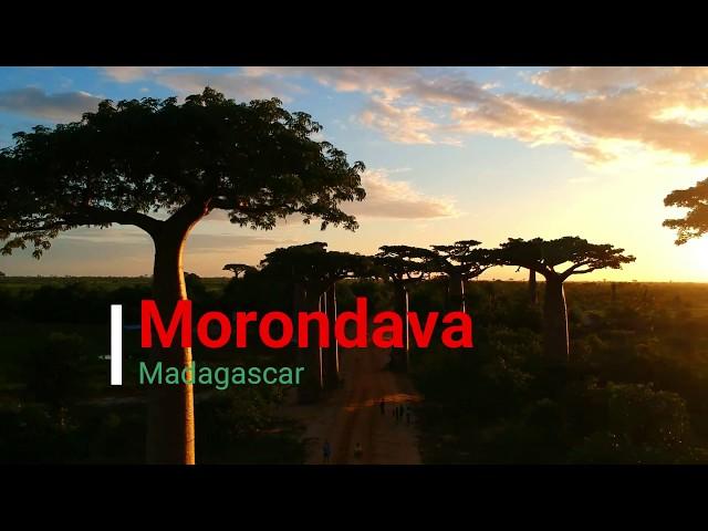 Allées du baobab and Morondava, West Madagascar highlights