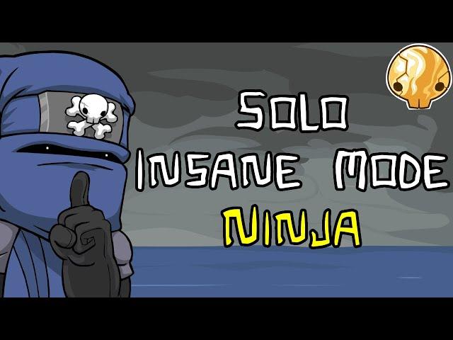 Castle Crashers - Solo Insane Mode as Ninja (No Potions)