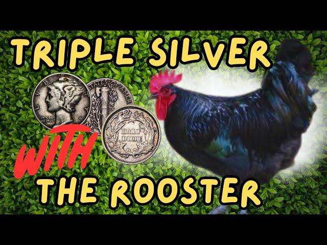 Lost Ring Found! Unbelievable Triple Silver Hunt with Minelab Equinox 800