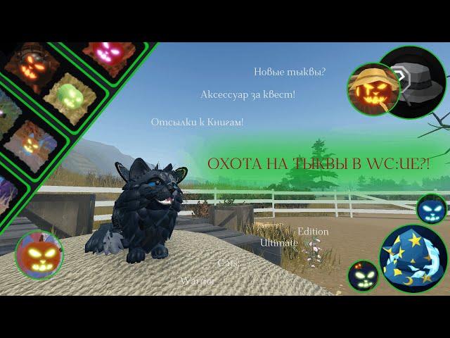 КАК НАЙТИ ВСЕ ТЫКВЫ В WC:UE?! | Местонахождение/Рассказ | Warrior Cats: Ultimate Edition - Roblox