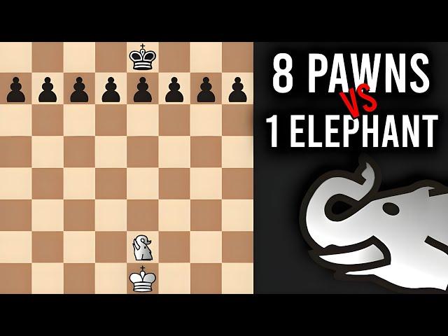 How many PAWNS are needed to defeat 1 Elephant ? ║Fairy Chess Part 3