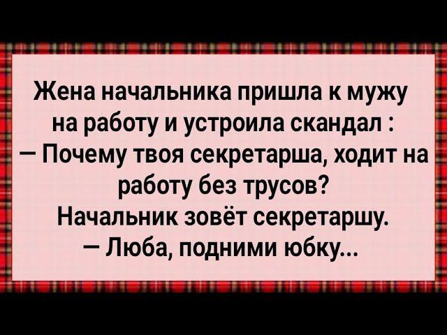 Как Жена Начальника Наглую Секретаршу Наказала! Сборник Свежих Анекдотов! Юмор!