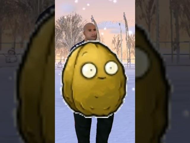 Картошка дай лицензию немножко! #pvz #blackrussia #блекраша #memes #активвернись