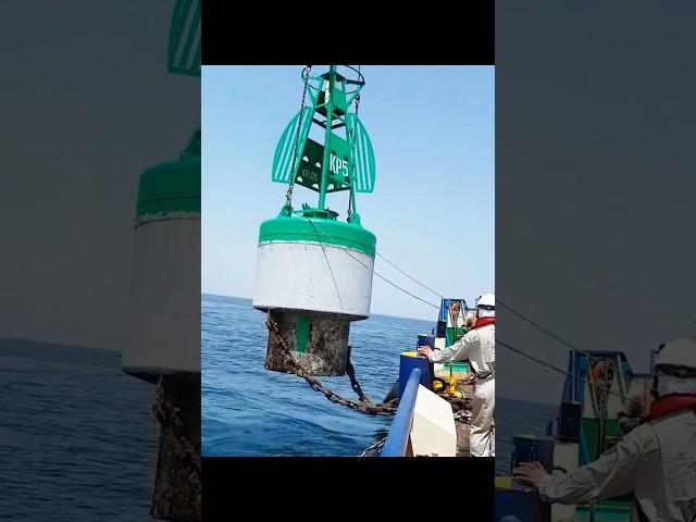 Marine buoy #knowledge #shorts #shortvideo
