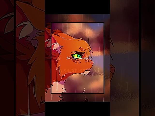 THEY WOULD HAVE BEEN SO CUTE TOGETHER #wcuedit #edit #warriorcats  #animatic