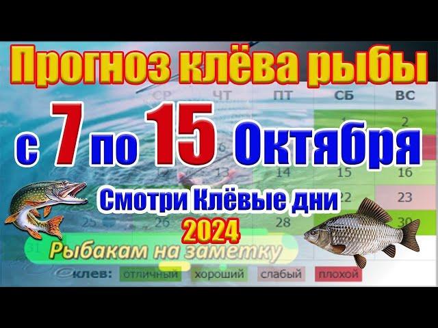 Прогноз клева рыбы на неделю с 7 по 15 Октября Прогноз клева Лунный Календарь рыбака