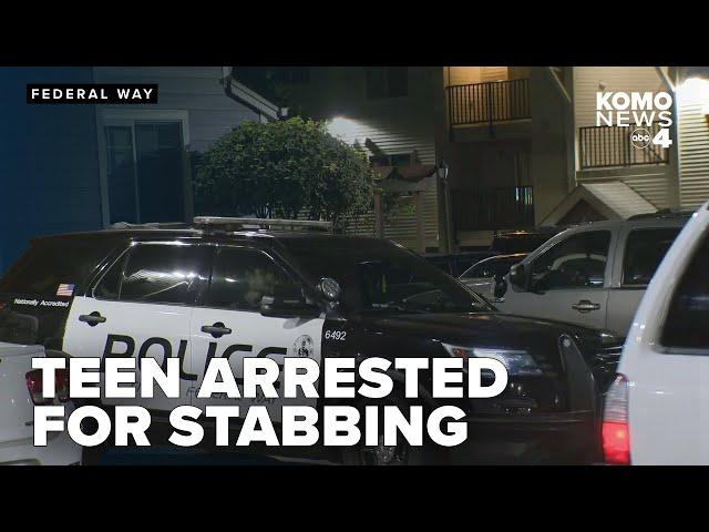 Teen arrested for Federal Way stabbing claims self-defense against homophobic attack