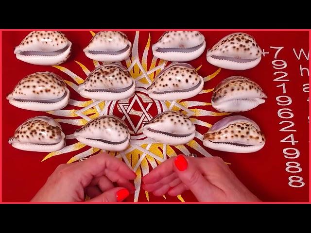 ТРОИЦА Загадай ракушку Исполни ЖЕЛАНИЕ #таро #онлайн Светлана ВЕДА