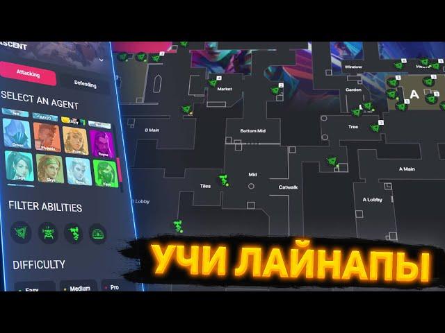 Аналитика | Топ 7 программ для улучшения индивидуальной игры в Valorant