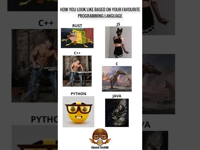 HOW YOU LOOK LIKE BASED ON YOUR FAVOURITE PROGRAMMING LANGUAGE