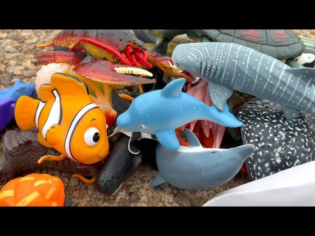 Toy Sea Animals Learn Sea Creature Names