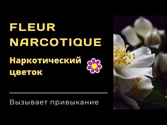 Духи Fleur Narcotique - описание аромата. Наркотический цветок, цепляющий с первого раза.