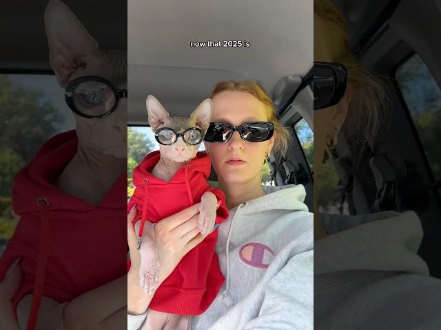 2024 RECAP #cats #shorts #pets #sphynx #travel