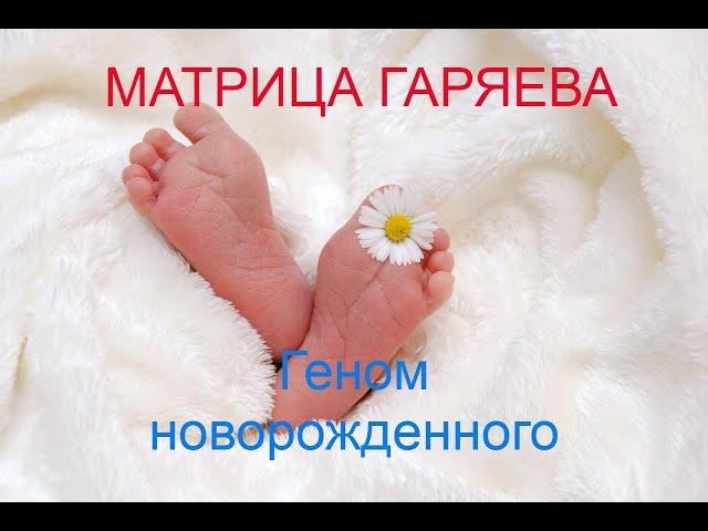 Геном Новорожденного Матрица Гаряева  Newborn Genome Matrix Garyaev