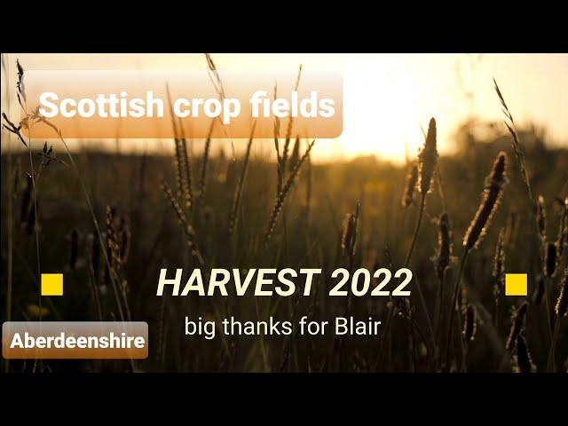 Harvest 2022 on scottish field. 4K aerial photages.