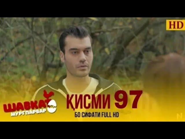 ШАВКАТ КИСМИ-97 / SHAVKAT QISMI-97