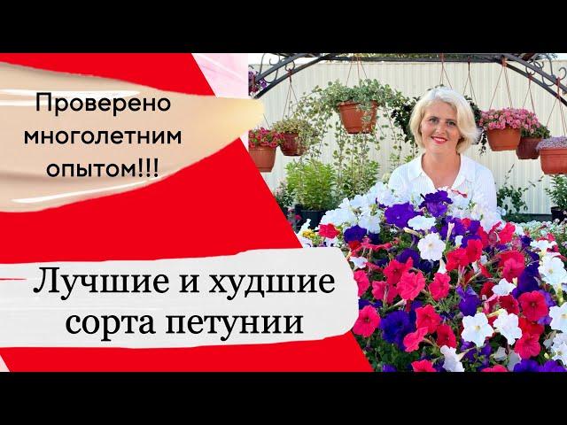 ТОП самых ЛУЧШИХ и ХУДШИХ сортов петунии (вегетативной и семенной)