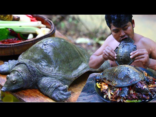 {Graphic} Soft Shell Turtle Clean - Cooking soft Shell Turtle Tasty Food in Asian Culture Recipe