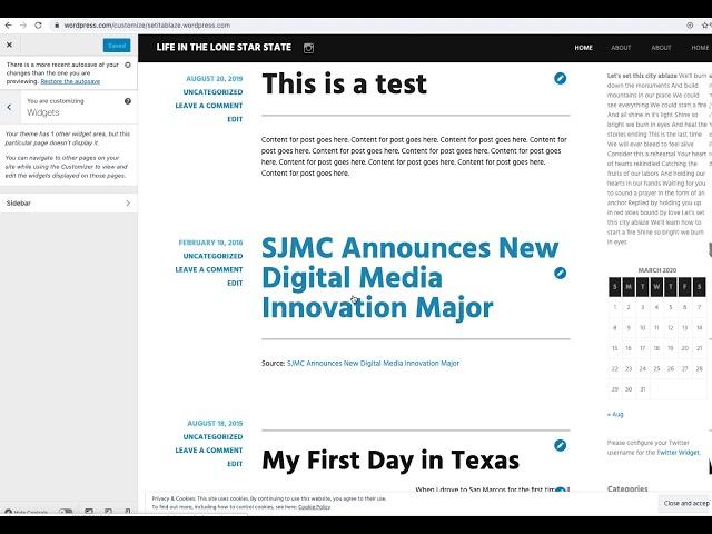Adding Text Widget to WordPress