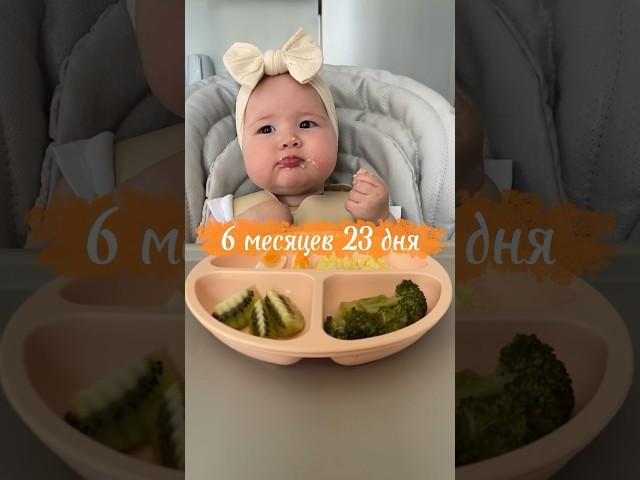 Яйцо - аллерген из «большой девятки»! #blw #самоприкорм #6months #6месяцев #прикорм #babyledweaning
