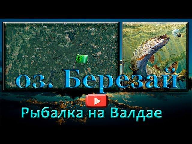 Рыбалка на Валдайских озерах. оз. Березай