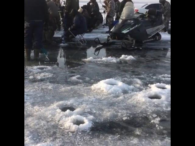 Зимняя рыбалка, очередной массовой сбор рыбаков