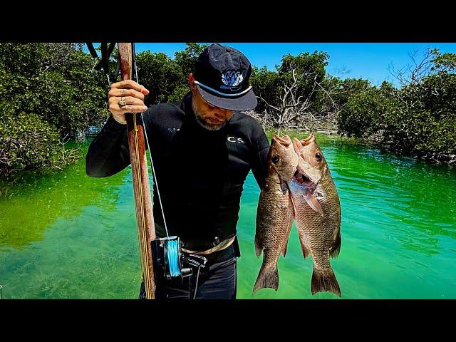 Mangrove Snapper Limit in Minutes | Tequila Makes Everything Better