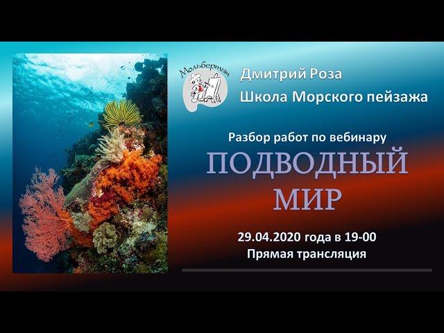 Разбор картин по открытому вебинару "Подводный мир" | Школа морского пейзажа Дмитрия Розы