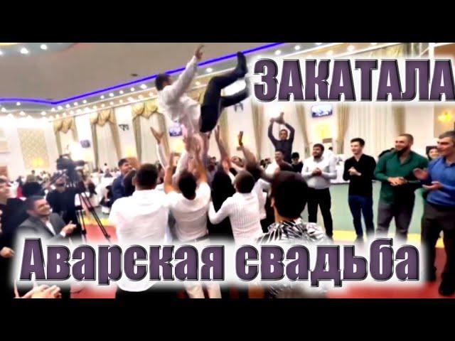 Закатала с.Джар /Аварская свадьба/ #закатала #zaqatala #toylar #azerbaycan #azerbaijan