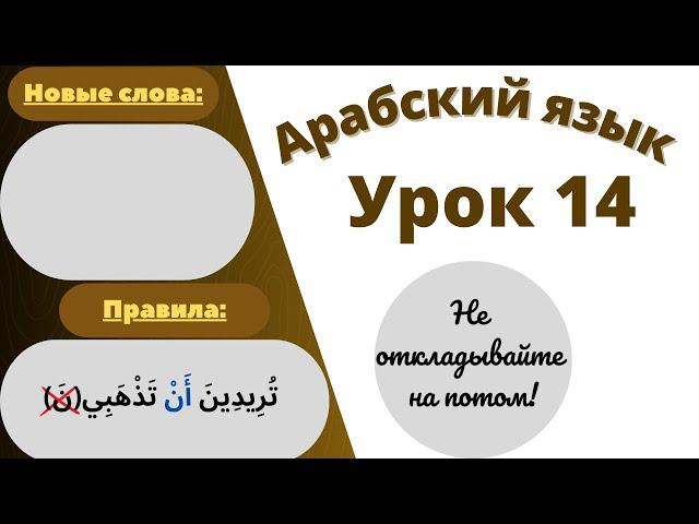 Начните сейчас! Арабский язык для начинающих. Урок 14