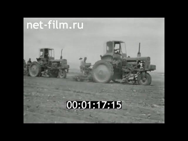 1980г. колхоз Коммунизм Шаартузский район Таджикистан