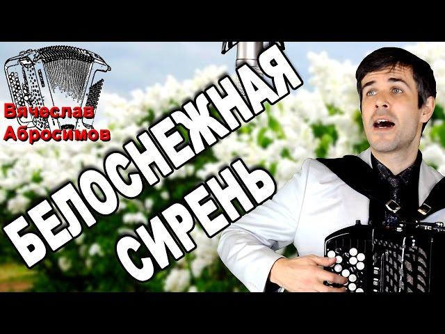 ОБАЛДЕТЬВОТ ЭТО ПЕСНЯ! Невозможно наслушаться! (Белоснежная сирень)